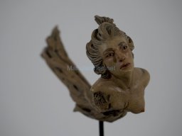 Exposición el tiempo de la Crisálida